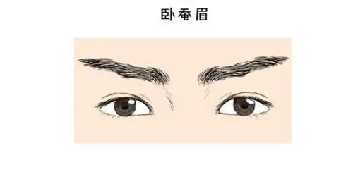 男人十大富贵眉毛 十大富贵眉毛图片男