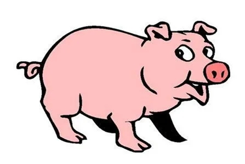 属猪的是哪几年今年多大 生肖猪年份表及对应今年几岁了